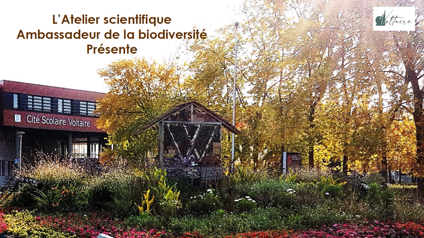 biodiversite